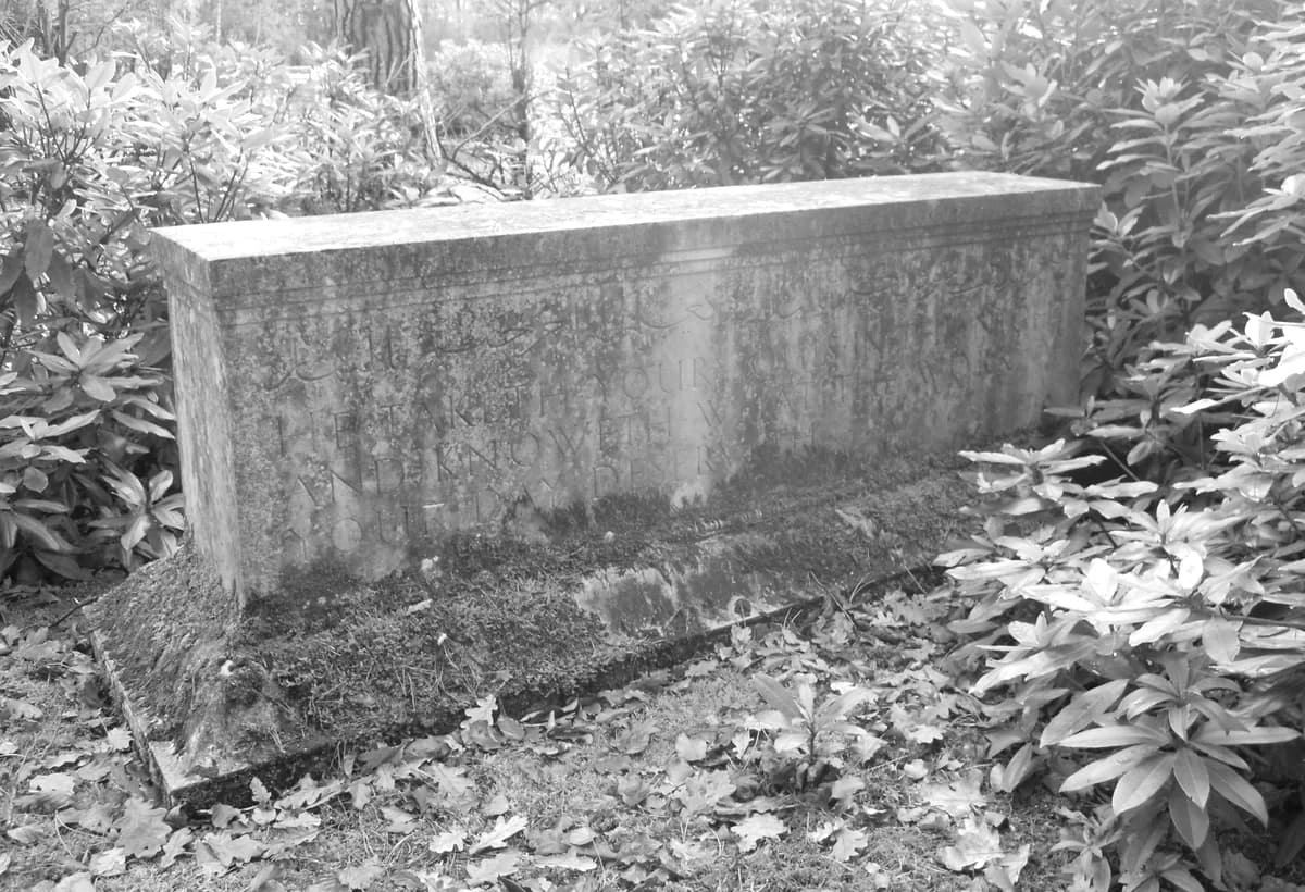 সৈয়দ আমীর আলী